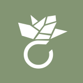 Amoonic - precious by nature DE