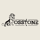 OSSTONE logo